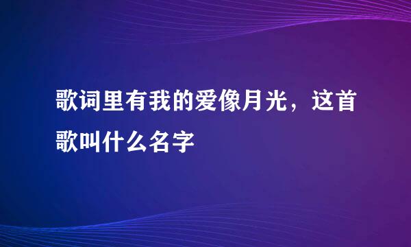 歌词里有我的爱像月光，这首歌叫什么名字