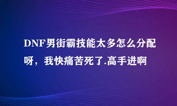 DNF男街霸技能太多怎么分配呀，我快痛苦死了.高手进啊