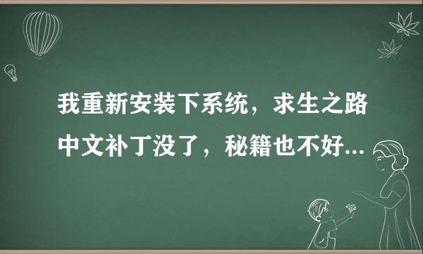 我重新安装下系统，求生之路中文补丁没了，秘籍也不好用了怎嘛回事