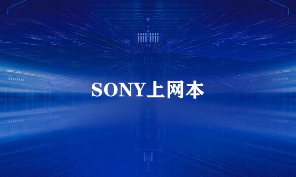 SONY上网本