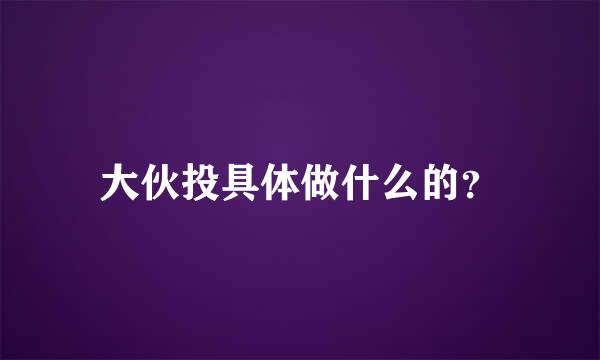 大伙投具体做什么的？