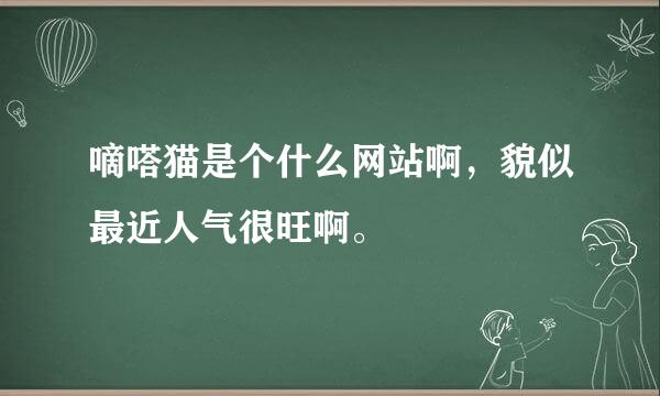 嘀嗒猫是个什么网站啊，貌似最近人气很旺啊。