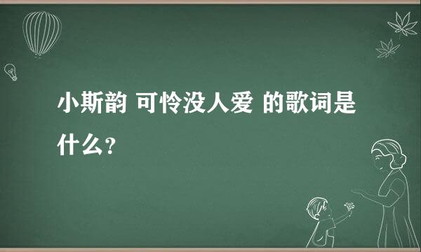 小斯韵 可怜没人爱 的歌词是什么？