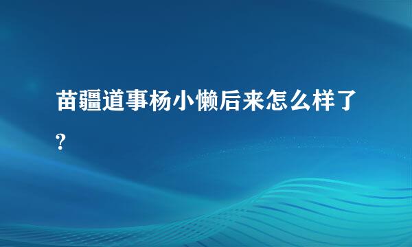 苗疆道事杨小懒后来怎么样了?