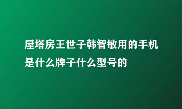 屋塔房王世子韩智敏用的手机是什么牌子什么型号的