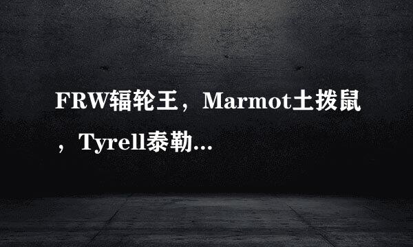 FRW辐轮王，Marmot土拨鼠，Tyrell泰勒全世界十大顶级自行车运动户外品牌官网京东旗舰店