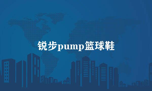 锐步pump篮球鞋