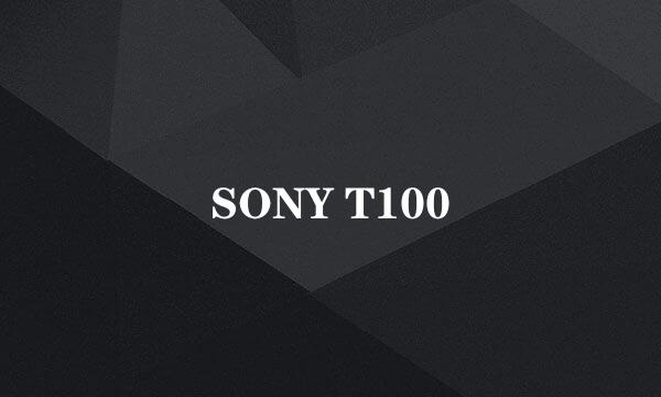 SONY T100