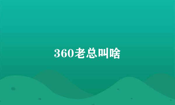 360老总叫啥