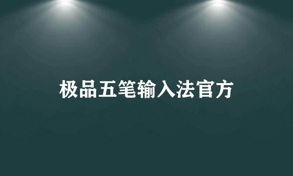 极品五笔输入法官方