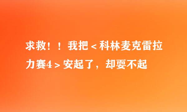 求救！！我把＜科林麦克雷拉力赛4＞安起了，却耍不起