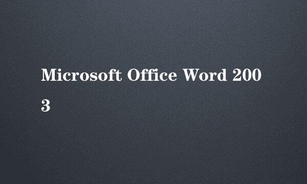 Microsoft Office Word 2003