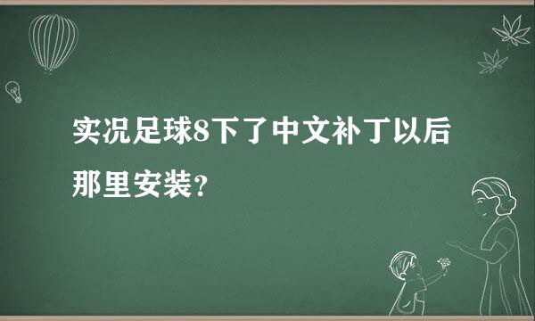 实况足球8下了中文补丁以后那里安装？