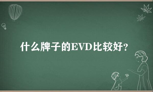 什么牌子的EVD比较好？