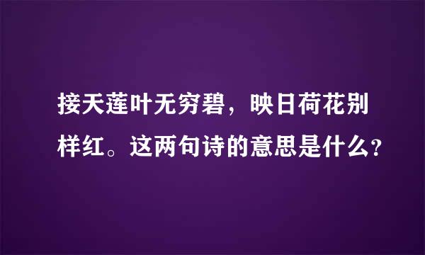 接天莲叶无穷碧，映日荷花别样红。这两句诗的意思是什么？