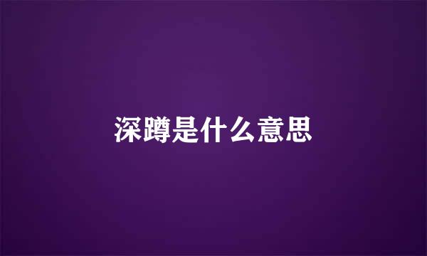 深蹲是什么意思