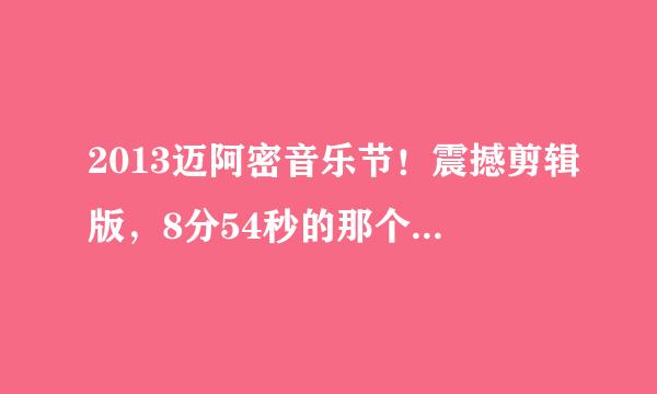 2013迈阿密音乐节！震撼剪辑版，8分54秒的那个组合DJ叫什么名字，以前听过一首他们的歌，求该组合