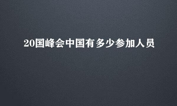 20国峰会中国有多少参加人员