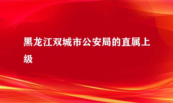 黑龙江双城市公安局的直属上级