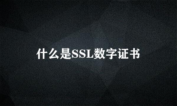 什么是SSL数字证书