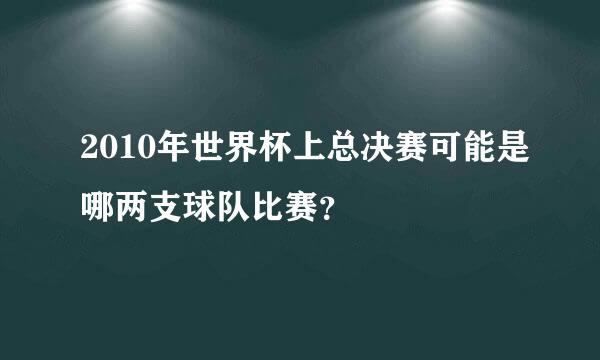 2010年世界杯上总决赛可能是哪两支球队比赛？