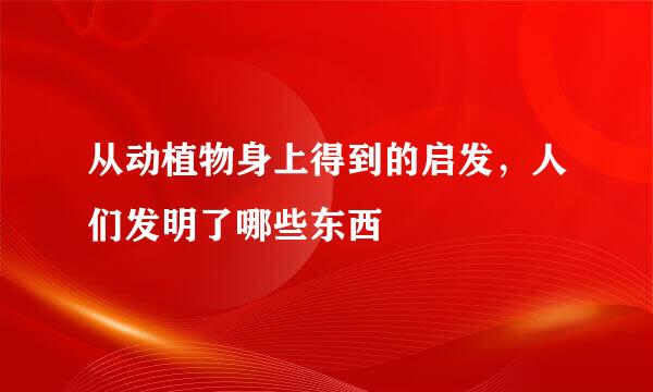 从动植物身上得到的启发，人们发明了哪些东西