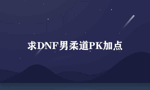 求DNF男柔道PK加点