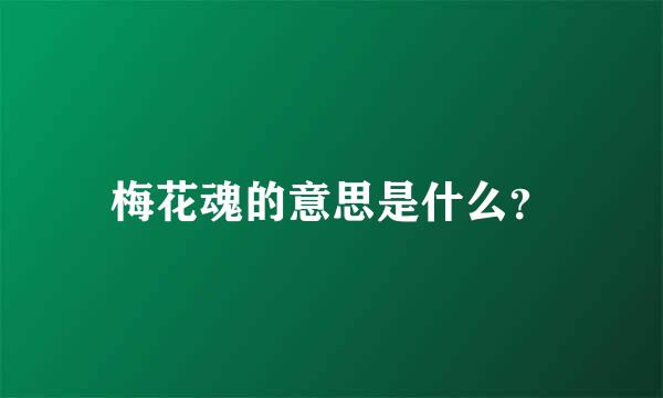 梅花魂的意思是什么？