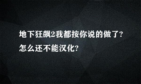 地下狂飙2我都按你说的做了?怎么还不能汉化?