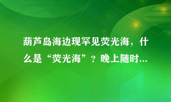 葫芦岛海边现罕见荧光海，什么是“荧光海”？晚上随时可以看到吗？