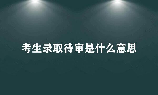 考生录取待审是什么意思