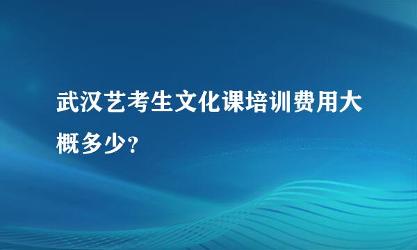 武汉艺考生文化课培训费用大概多少？