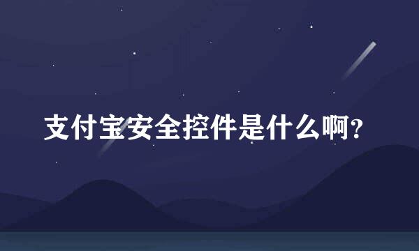 支付宝安全控件是什么啊？