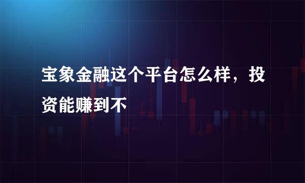 宝象金融这个平台怎么样，投资能赚到不