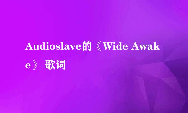 Audioslave的《Wide Awake》 歌词