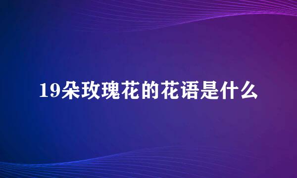 19朵玫瑰花的花语是什么