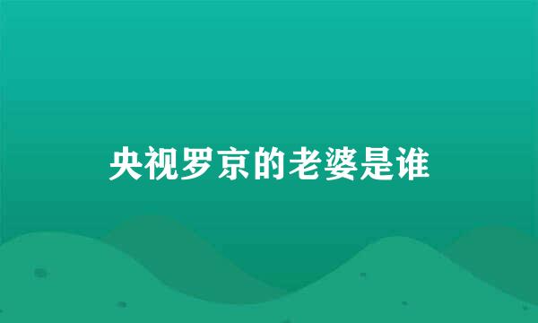 央视罗京的老婆是谁