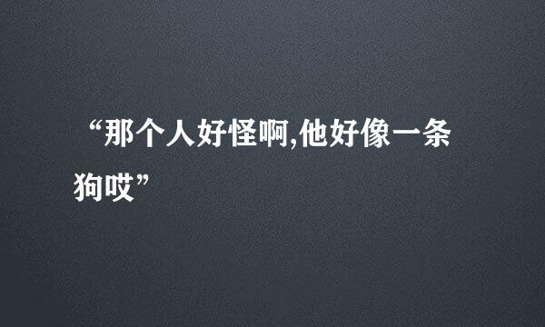 “那个人好怪啊,他好像一条狗哎”