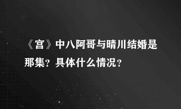 《宫》中八阿哥与晴川结婚是那集？具体什么情况？