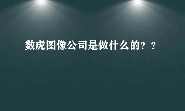 数虎图像公司是做什么的？？