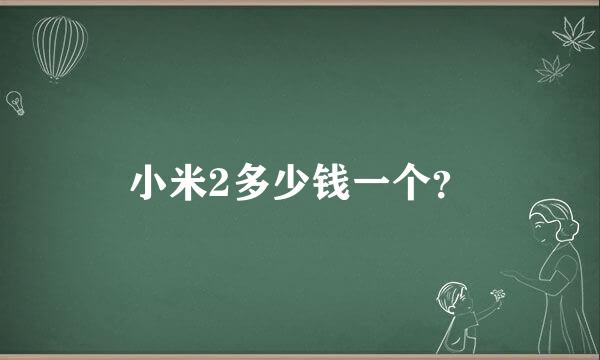 小米2多少钱一个？