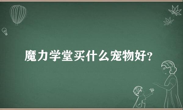 魔力学堂买什么宠物好？