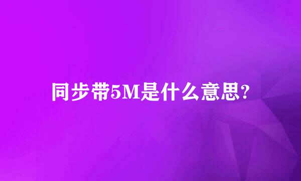 同步带5M是什么意思?