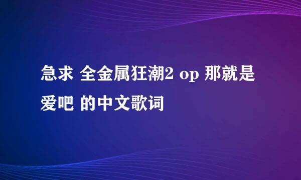 急求 全金属狂潮2 op 那就是爱吧 的中文歌词