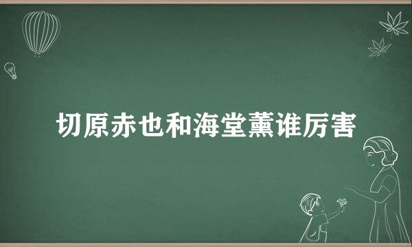 切原赤也和海堂薰谁厉害