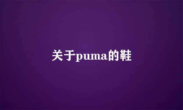 关于puma的鞋