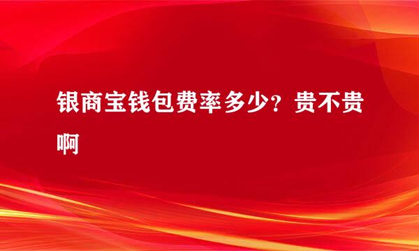 银商宝钱包费率多少？贵不贵啊