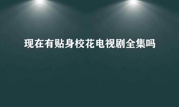 现在有贴身校花电视剧全集吗