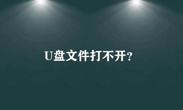 U盘文件打不开？