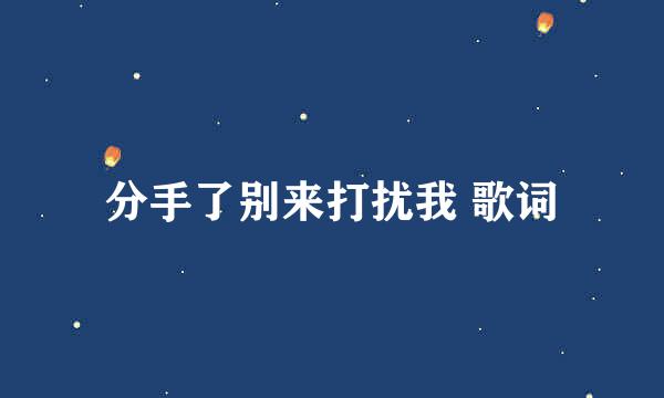 分手了别来打扰我 歌词